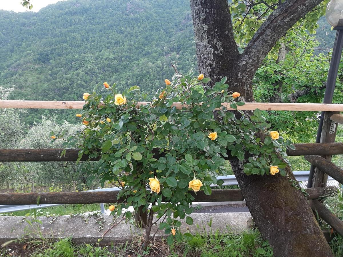 La Casa Di Amelia Villa Borzonasca Dış mekan fotoğraf