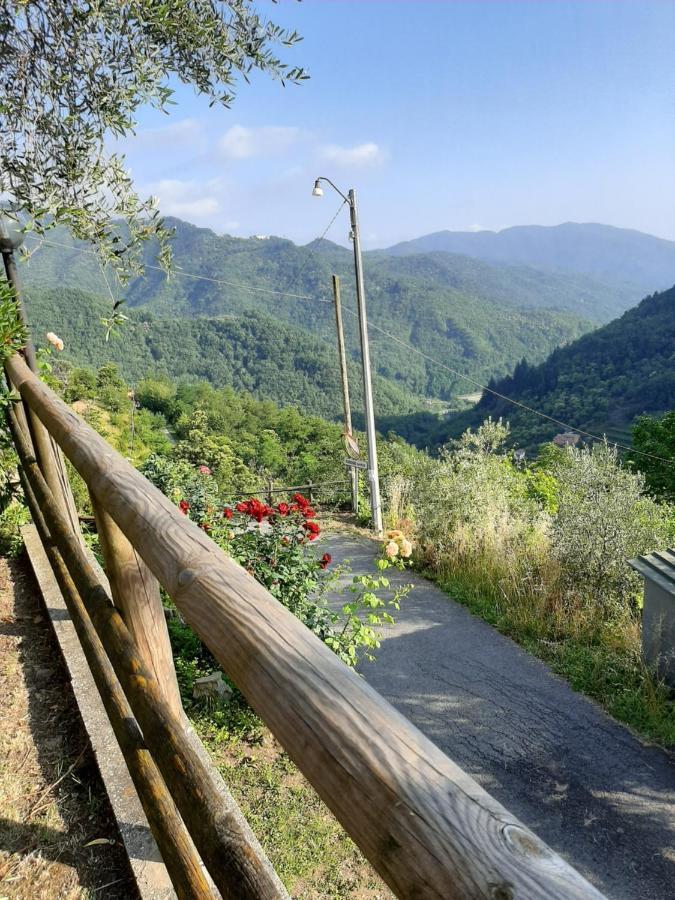 La Casa Di Amelia Villa Borzonasca Dış mekan fotoğraf