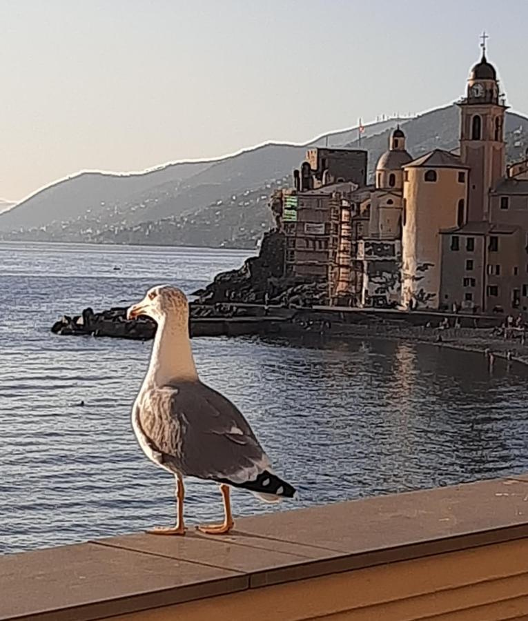 La Casa Di Amelia Villa Borzonasca Dış mekan fotoğraf